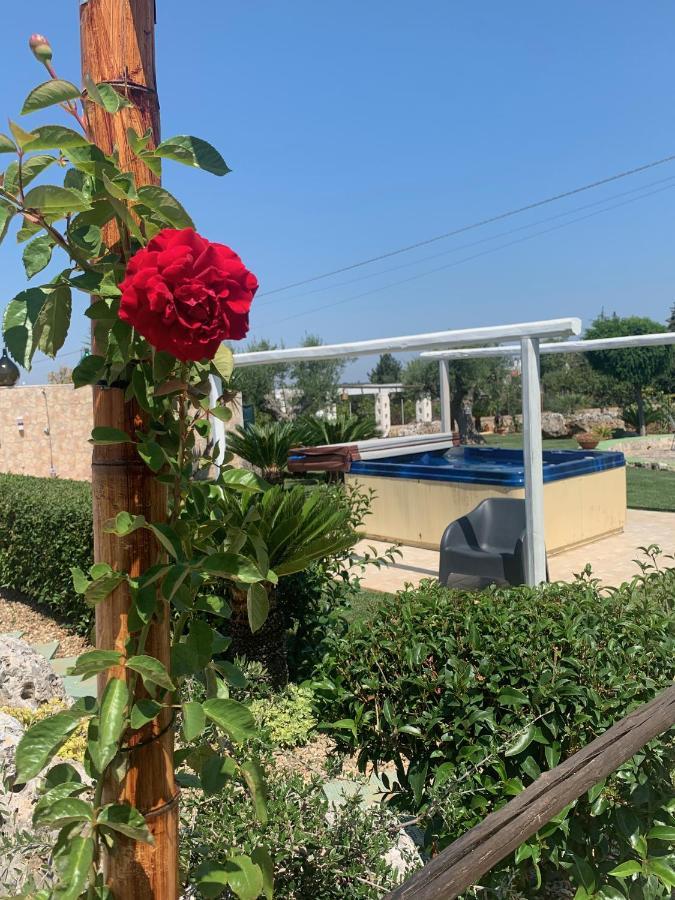ألبيروبيللو B&B Villa Grassi المظهر الخارجي الصورة