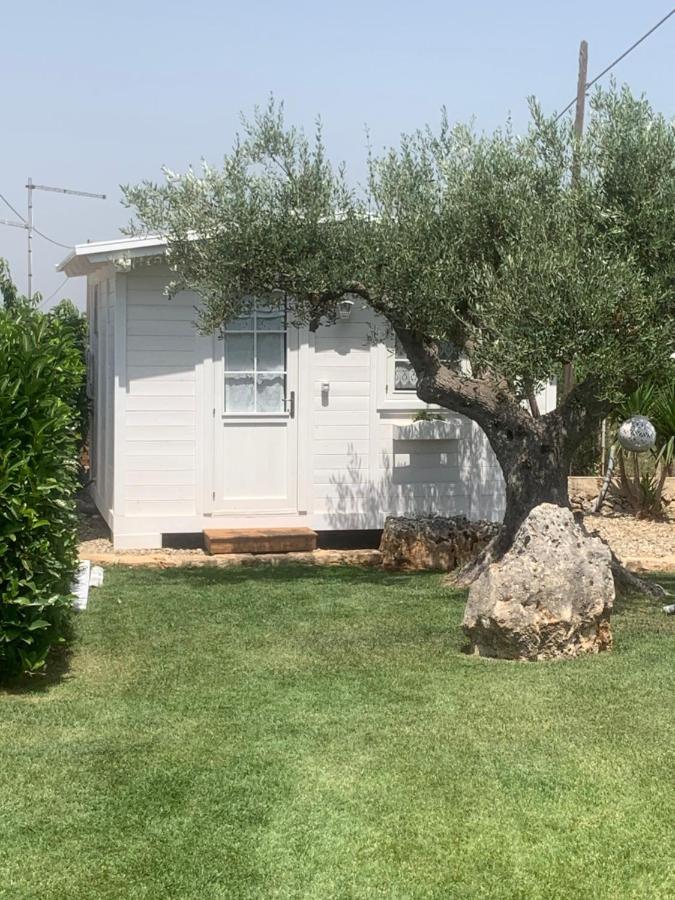 ألبيروبيللو B&B Villa Grassi المظهر الخارجي الصورة