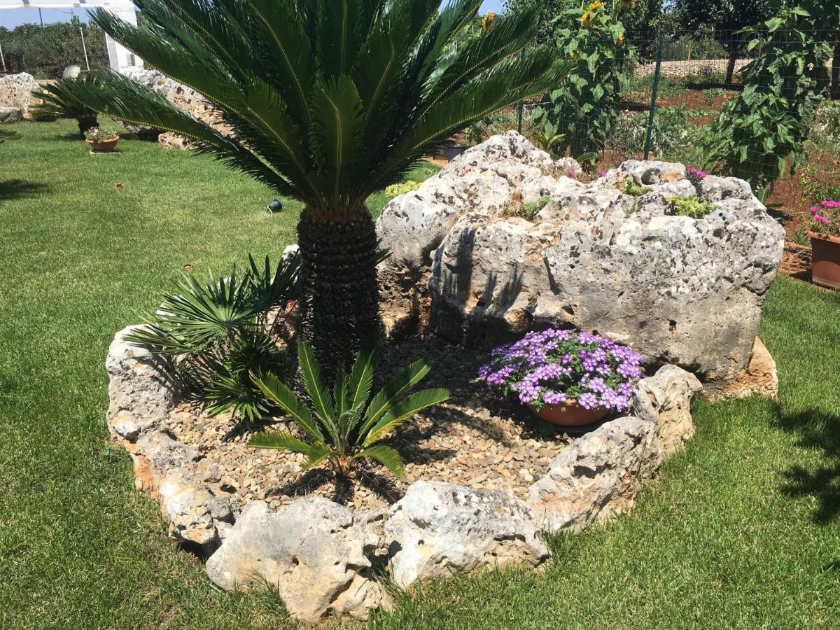 ألبيروبيللو B&B Villa Grassi المظهر الخارجي الصورة